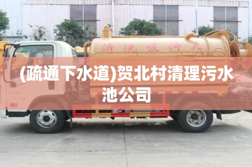 (疏通下水道)贺北村清理污水池公司