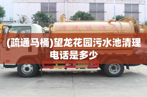 (疏通马桶)望龙花园污水池清理电话是多少