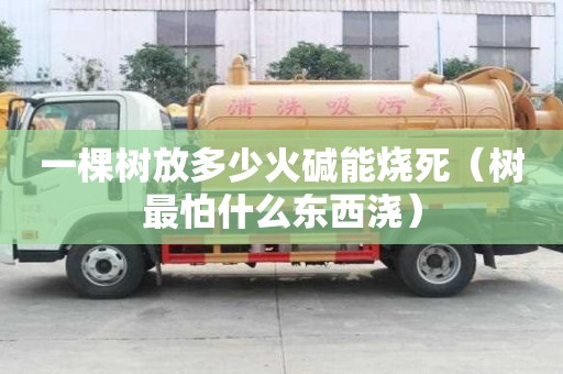 一棵树放多少火碱能烧死（树最怕什么东西浇）