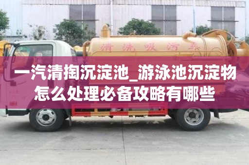 一汽清掏沉淀池_游泳池沉淀物怎么处理必备攻略有哪些