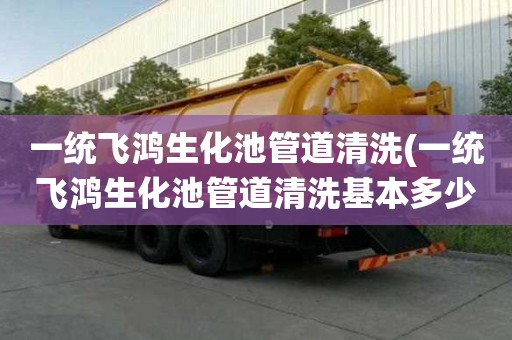 一统飞鸿生化池管道清洗(一统飞鸿生化池管道清洗基本多少钱)