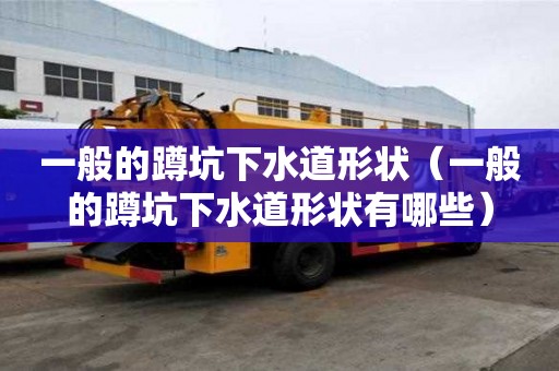 一般的蹲坑下水道形状（一般的蹲坑下水道形状有哪些）