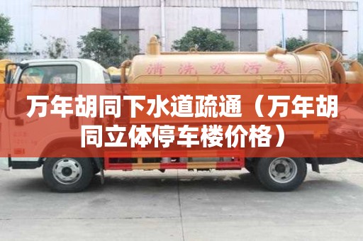 万年胡同下水道疏通（万年胡同立体停车楼价格）