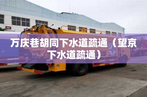 万庆巷胡同下水道疏通（望京下水道疏通）