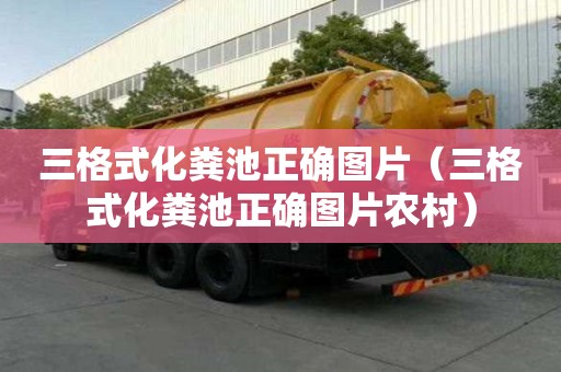 三格式化粪池正确图片（三格式化粪池正确图片农村）