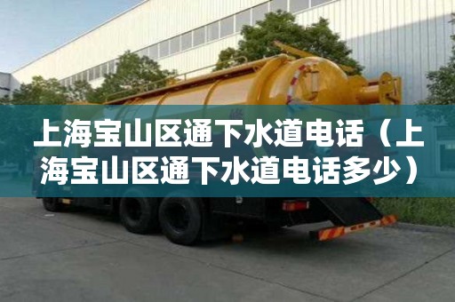 上海宝山区通下水道电话（上海宝山区通下水道电话多少）