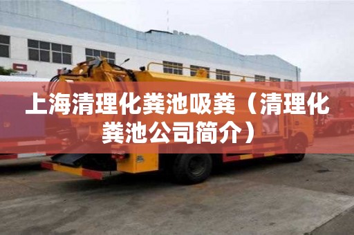 上海清理化粪池吸粪（清理化粪池公司简介）