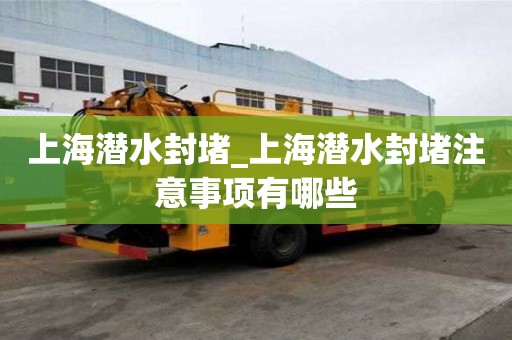 上海潜水封堵_上海潜水封堵注意事项有哪些