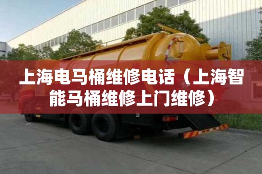 上海电马桶维修电话(上海智能马桶维修上门维修) 上海电马桶维修电话(上海智能马桶维修上门维修)