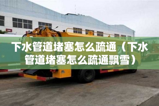 下水管道堵塞怎么疏通（下水管道堵塞怎么疏通飘雪）