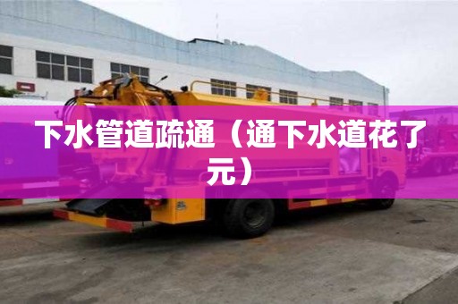下水管道疏通（通下水道花了元）