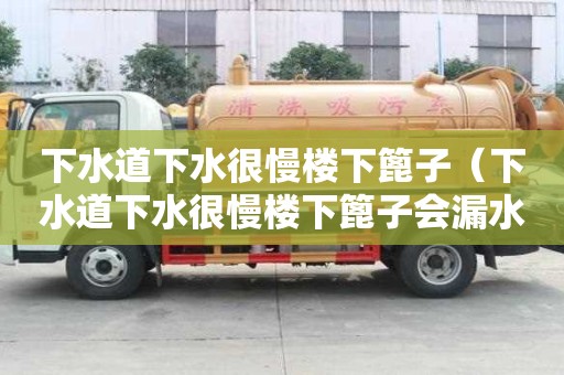 下水道下水很慢楼下篦子（下水道下水很慢楼下篦子会漏水吗）