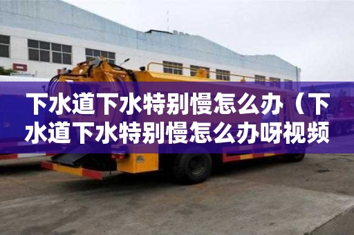 下水道下水特别慢怎么办（下水道下水特别慢怎么办呀视频）