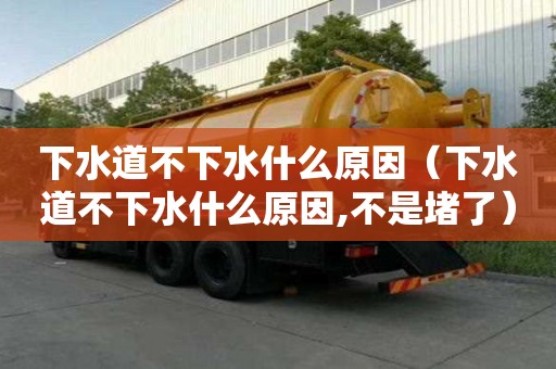 下水道不下水什么原因（下水道不下水什么原因,不是堵了）