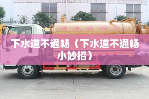 下水道不通畅（下水道不通畅小妙招）