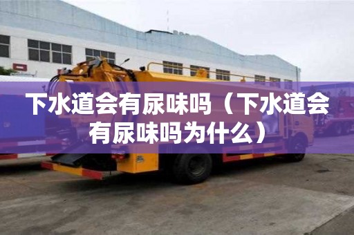 下水道会有尿味吗（下水道会有尿味吗为什么）