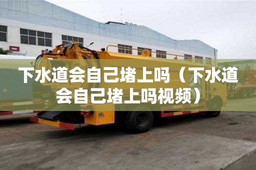下水道会自己堵上吗（下水道会自己堵上吗视频）