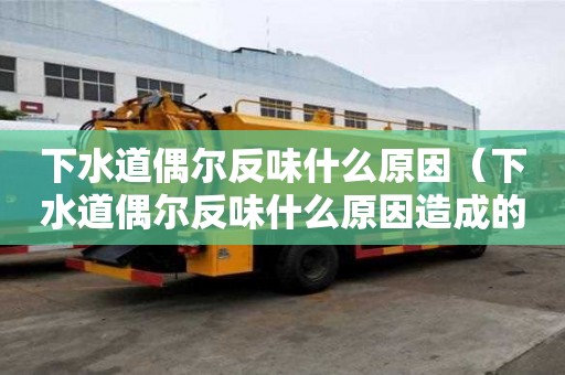 下水道偶尔反味什么原因(下水道偶尔反味什么原因造成的) 下水道偶尔反味什么原因(下水道偶尔反味什么原因造成的)