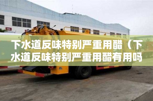下水道反味特别严重用醋(下水道反味特别严重用醋有用吗) 下水道反味特别严重用醋(下水道反味特别严重用醋有用吗)
