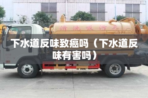 下水道反味致癌吗（下水道反味有害吗）