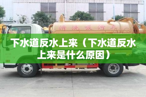 下水道反水上来(下水道反水上来是什么原因) 下水道反水上来(下水道反水上来是什么原因)
