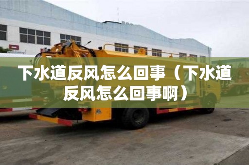 下水道反风怎么回事（下水道反风怎么回事?。? >
                        </div>
                        <div   id=