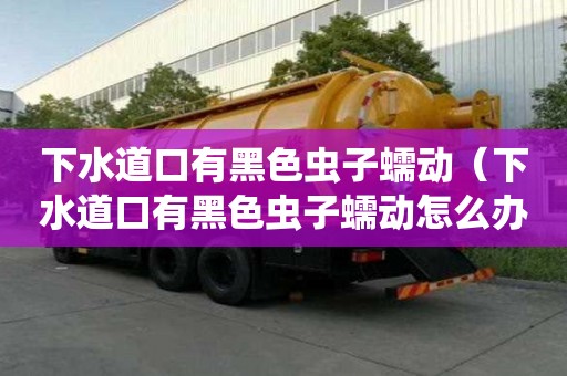 下水道口有黑色虫子蠕动（下水道口有黑色虫子蠕动怎么办）