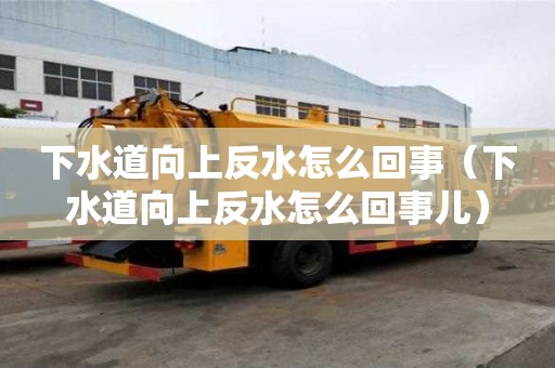 下水道向上反水怎么回事（下水道向上反水怎么回事儿）