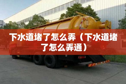 下水道堵了怎么弄（下水道堵了怎么弄通）