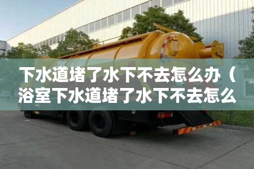 下水道堵了水下不去怎么办（浴室下水道堵了水下不去怎么办）