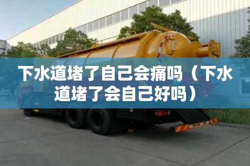 下水道堵了自己会痛吗（下水道堵了会自己好吗）