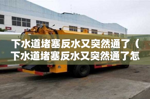 下水道堵塞反水又突然通了（下水道堵塞反水又突然通了怎么办）