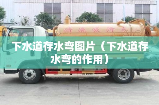 下水道存水弯图片（下水道存水弯的作用）