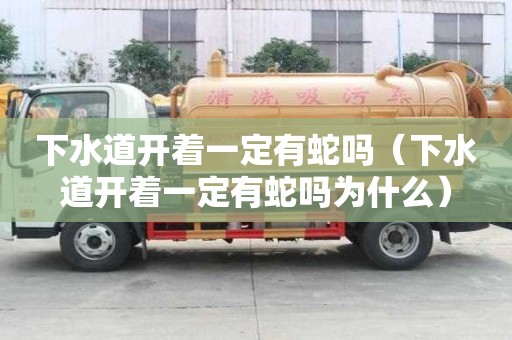 下水道开着一定有蛇吗（下水道开着一定有蛇吗为什么）