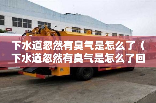 下水道忽然有臭气是怎么了（下水道忽然有臭气是怎么了回事）