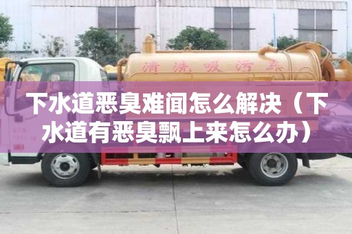 下水道恶臭难闻怎么解决（下水道有恶臭飘上来怎么办）