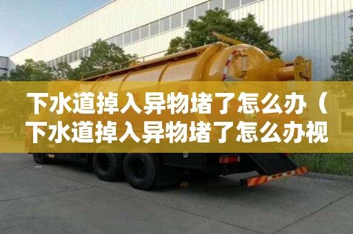 下水道掉入异物堵了怎么办（下水道掉入异物堵了怎么办视频）