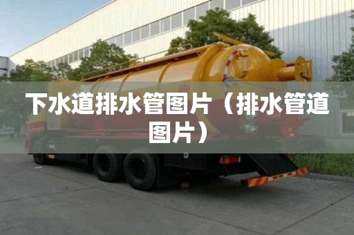 下水道排水管图片（排水管道图片）