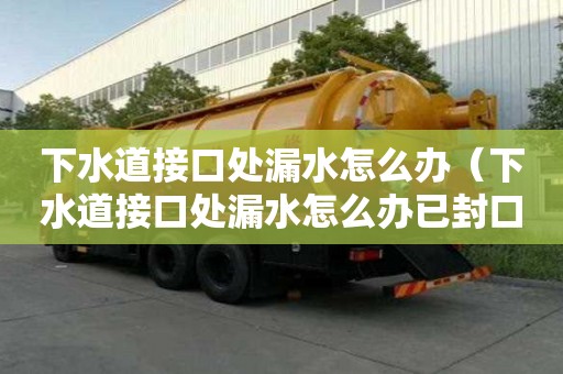 下水道接口处漏水怎么办（下水道接口处漏水怎么办已封口）
