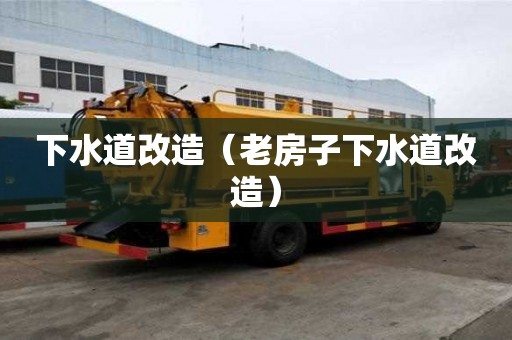 下水道改造（老房子下水道改造）