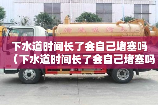 下水道时间长了会自己堵塞吗（下水道时间长了会自己堵塞吗视频）