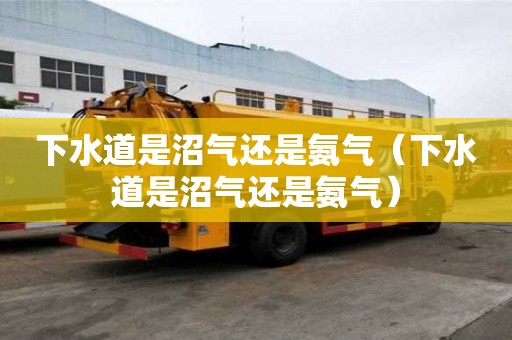 下水道是沼气还是氨气（下水道是沼气还是氨气）