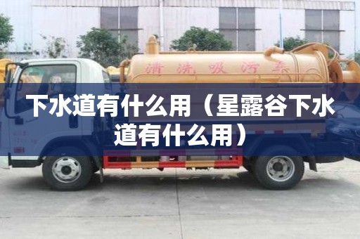 下水道有什么用（星露谷下水道有什么用）