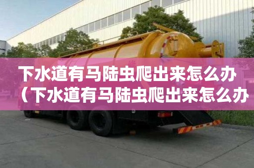 下水道有马陆虫爬出来怎么办（下水道有马陆虫爬出来怎么办啊）