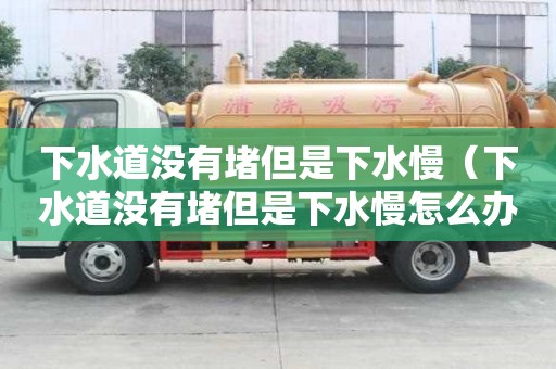 下水道没有堵但是下水慢（下水道没有堵但是下水慢怎么办）