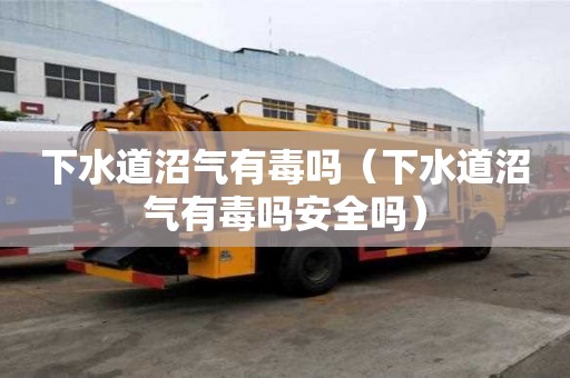 下水道沼气有毒吗（下水道沼气有毒吗安全吗）