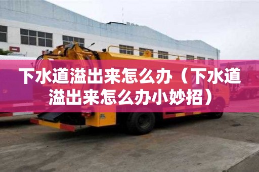 下水道溢出来怎么办（下水道溢出来怎么办小妙招）