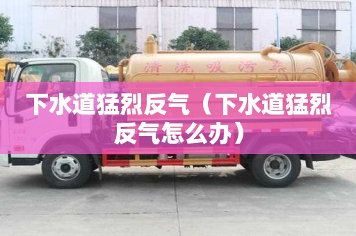 下水道猛烈反气(下水道猛烈反气怎么办) 下水道猛烈反气(下水道猛烈反气怎么办)