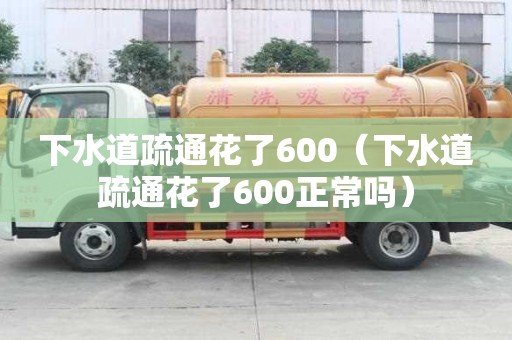 下水道疏通花了600（下水道疏通花了600正常吗）