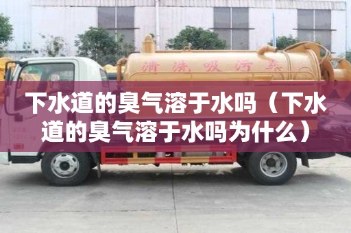 下水道的臭气溶于水吗(下水道的臭气溶于水吗为什么) 下水道的臭气溶于水吗(下水道的臭气溶于水吗为什么)